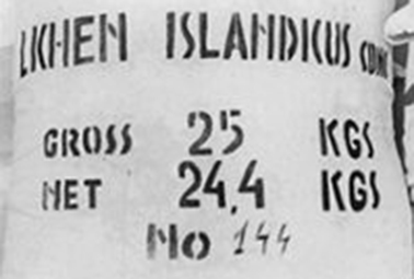 1935-199x300.jpg