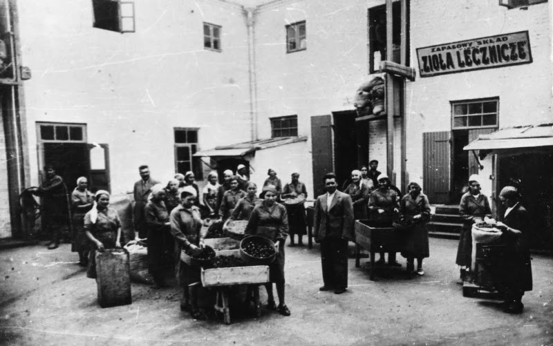 2 Abramoviciaus vaistazoliu perdirbimo fabrike darbo metu, 1938.jpeg
